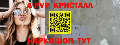 дмт Кингисепп