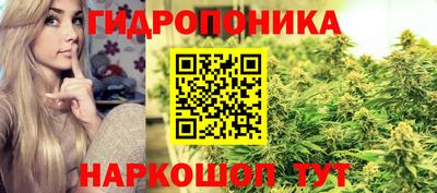 дмт Кингисепп