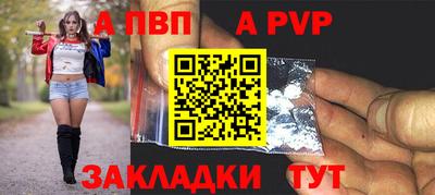 дмт Кингисепп